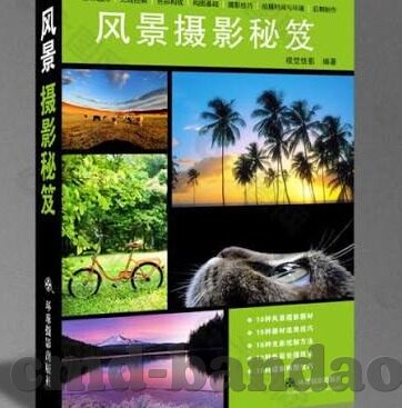 室内五人足球比分-室内五人足球比分背后的激情与策略，一场小场上的大博弈